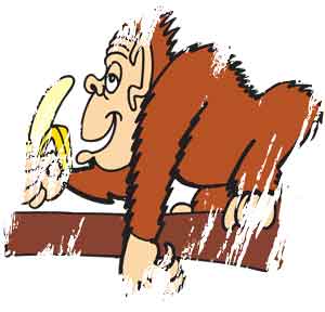 Five little monkeys jumping on the bed Five little monkeys jumping on the bed