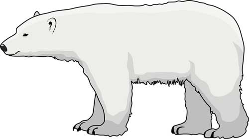 Es lebt der Eisbär in Sibirien