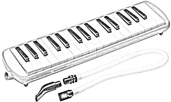 Melodica lernen: Technik, Spielpraxis und musikalischer Ausdruck